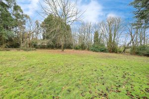 Photo 11- click for photo gallery